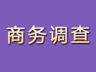 朝阳区商务调查